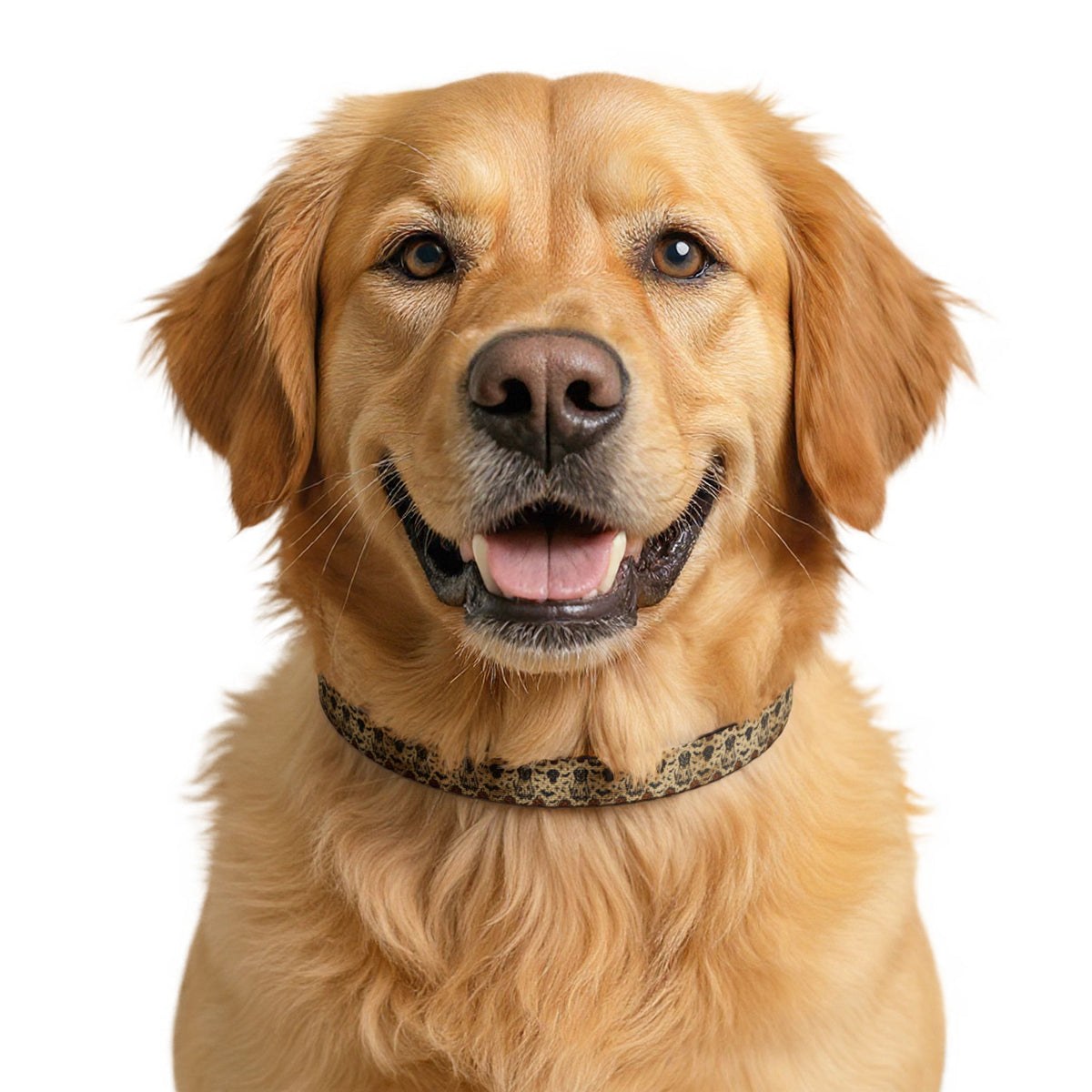 Halloween Clip-on Pet Collar