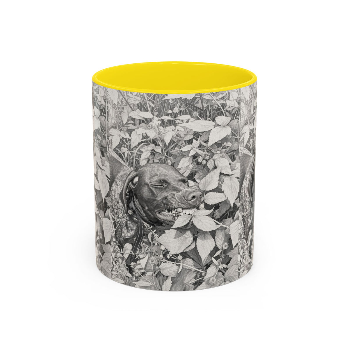 German Shorthaired Pointer Two-Tone Accent Coffee Mug - GSP Lover Gift (11 oz)