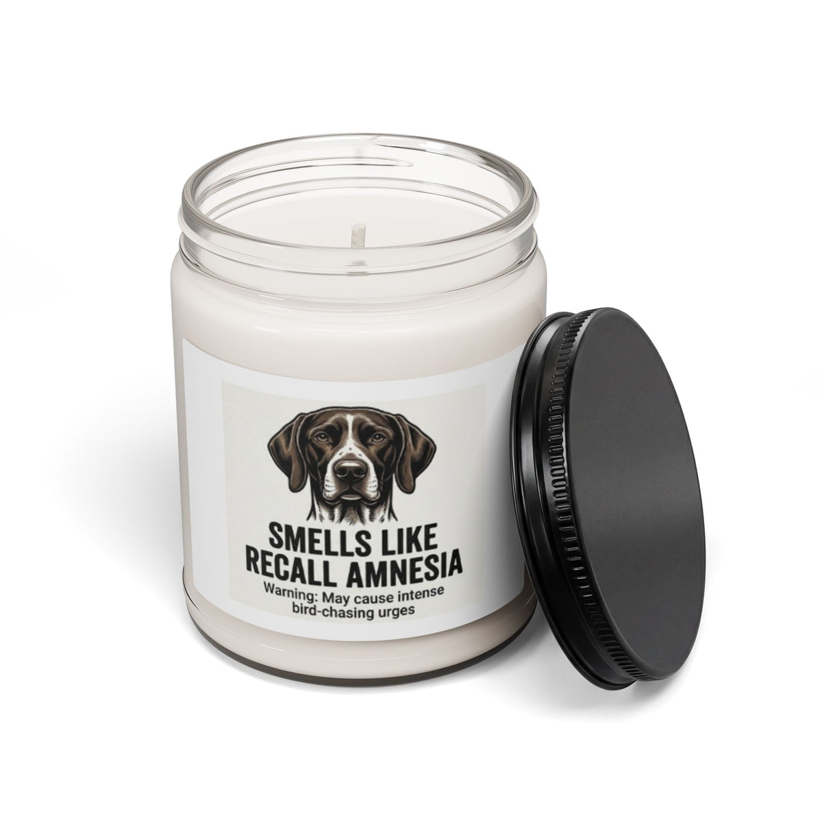 "Smells Like Amnesia" Soy Candle (9 oz)