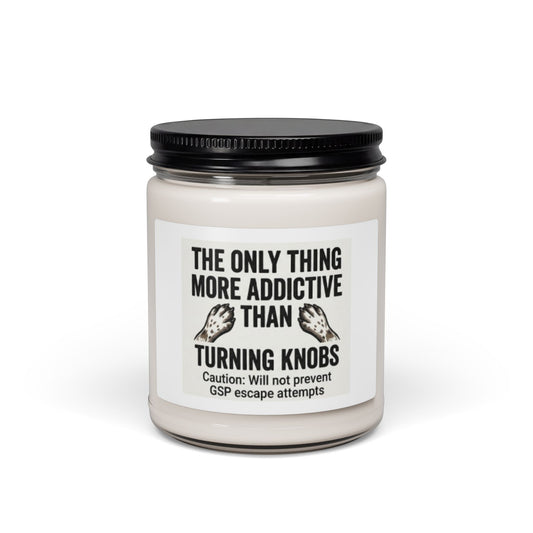 "More Addictive Than Turning Knobs" Soy Candle (9 oz)