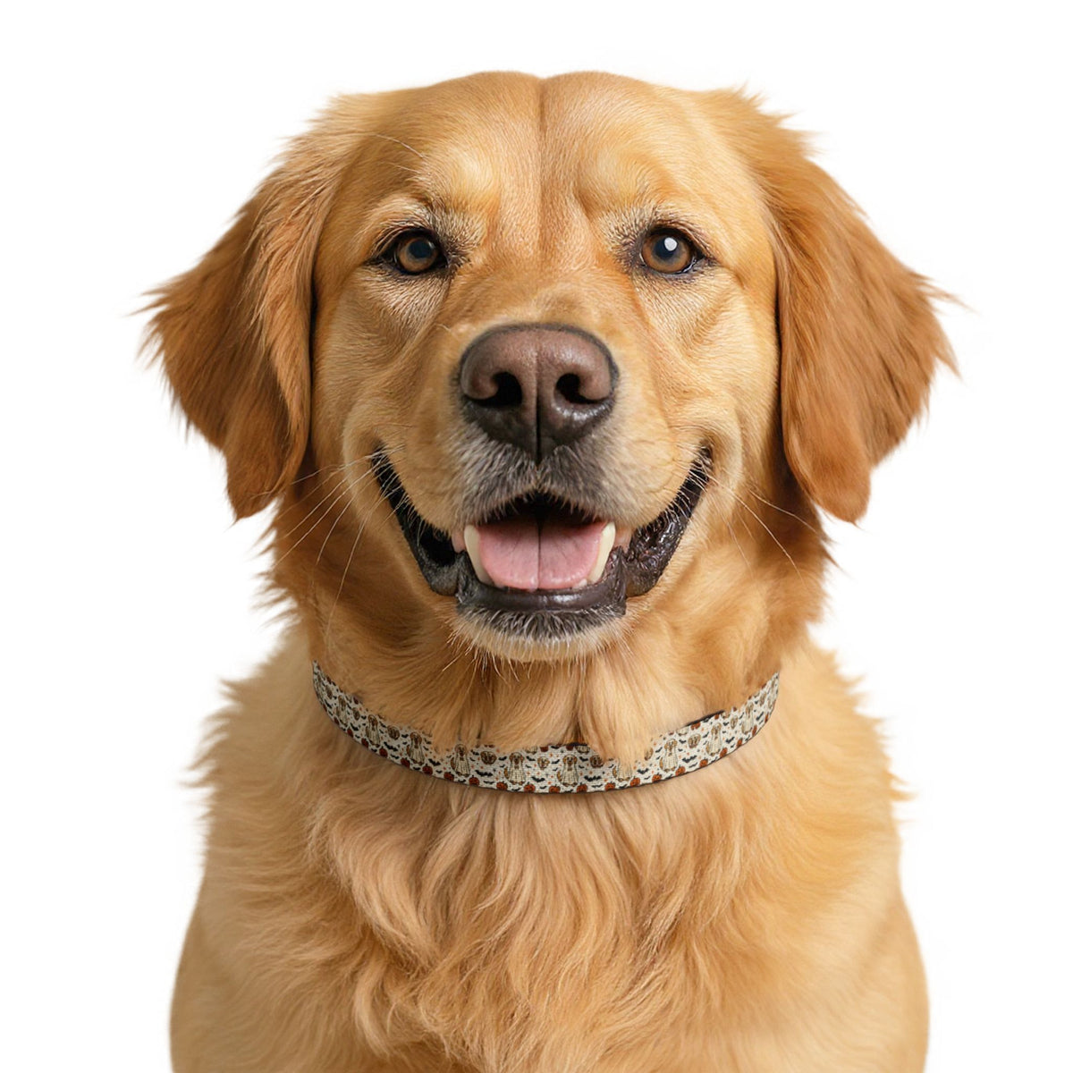 Pet Collar — Clip-On Woven Pattern Collar for Small Dogs & Cats