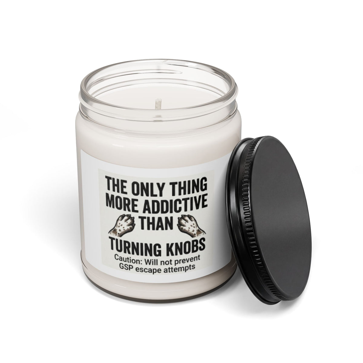 "More Addictive Than Turning Knobs" Soy Candle (9 oz)