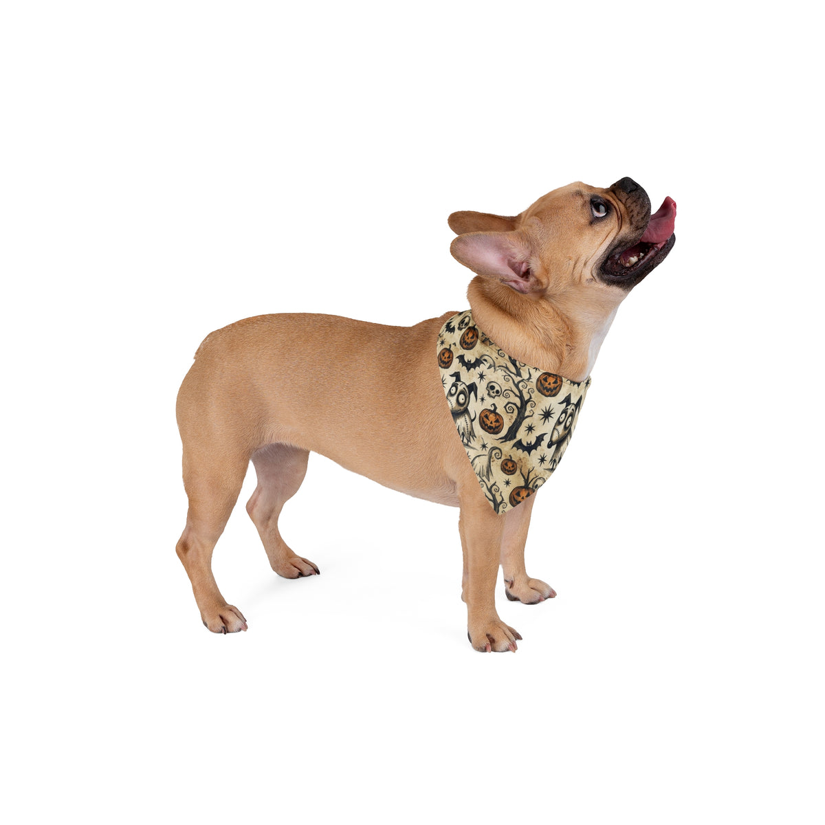 Halloween Pumpkin & Owl Pet Bandana — Spooky Bat Skull Print for Dogs & Cats